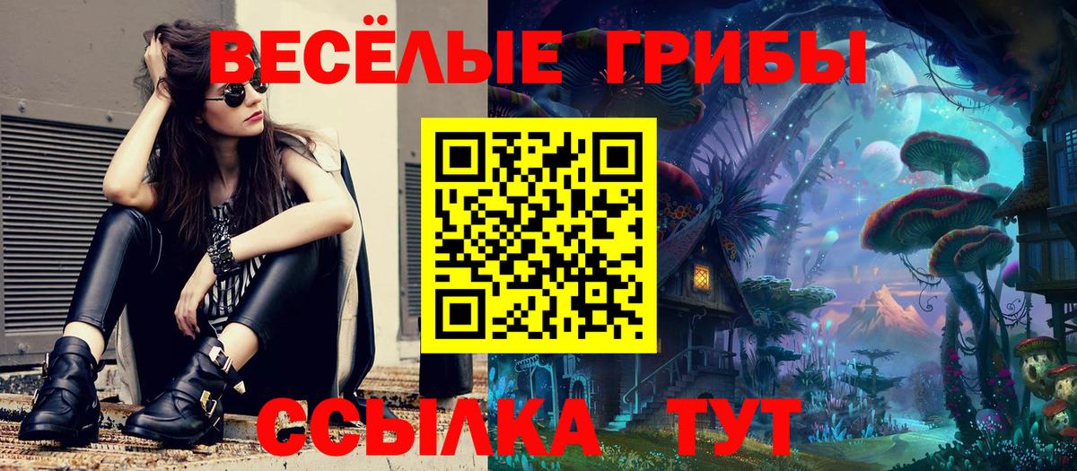Галлюциногенные грибы Psilocybine cubensis Ялуторовск